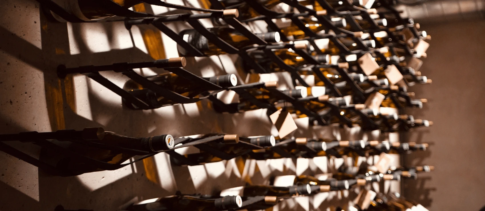 kouzlo vinařství Raisten s J&T Bankou